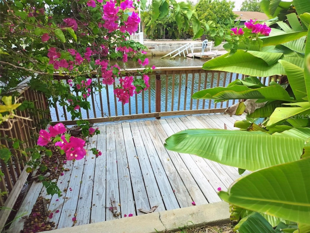 9901 Grace Drive Port Richey FL 34668 TB8420862 image7