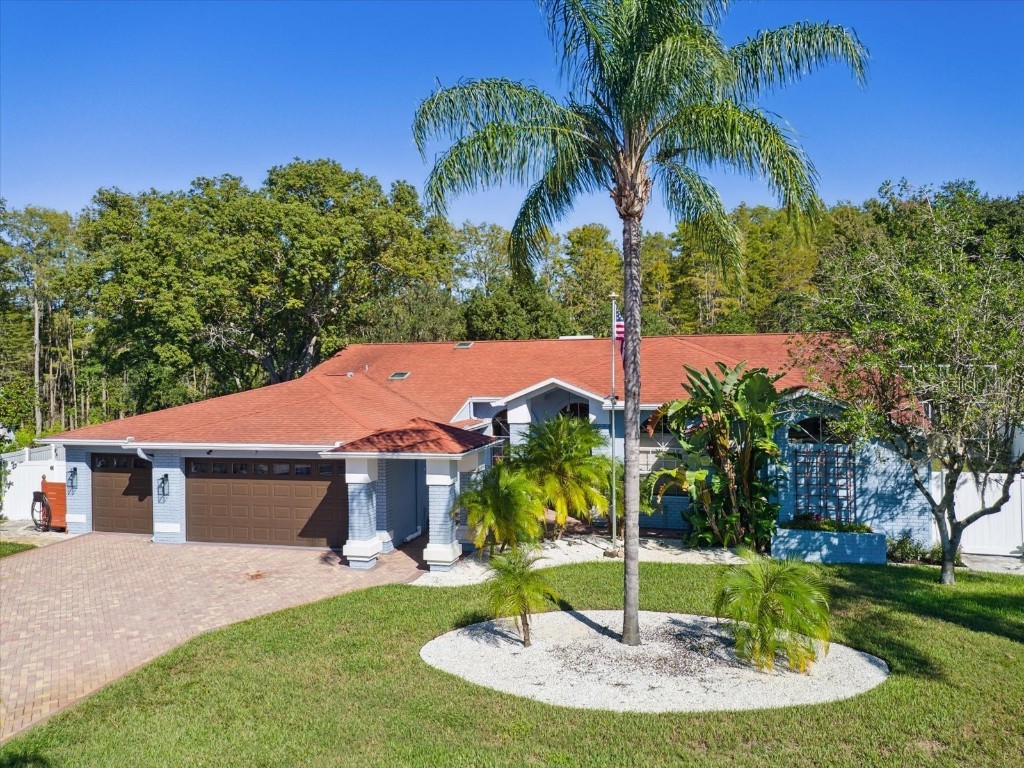 9901 Hermosillo Drive New Port Richey FL 34655 W7858981 image1