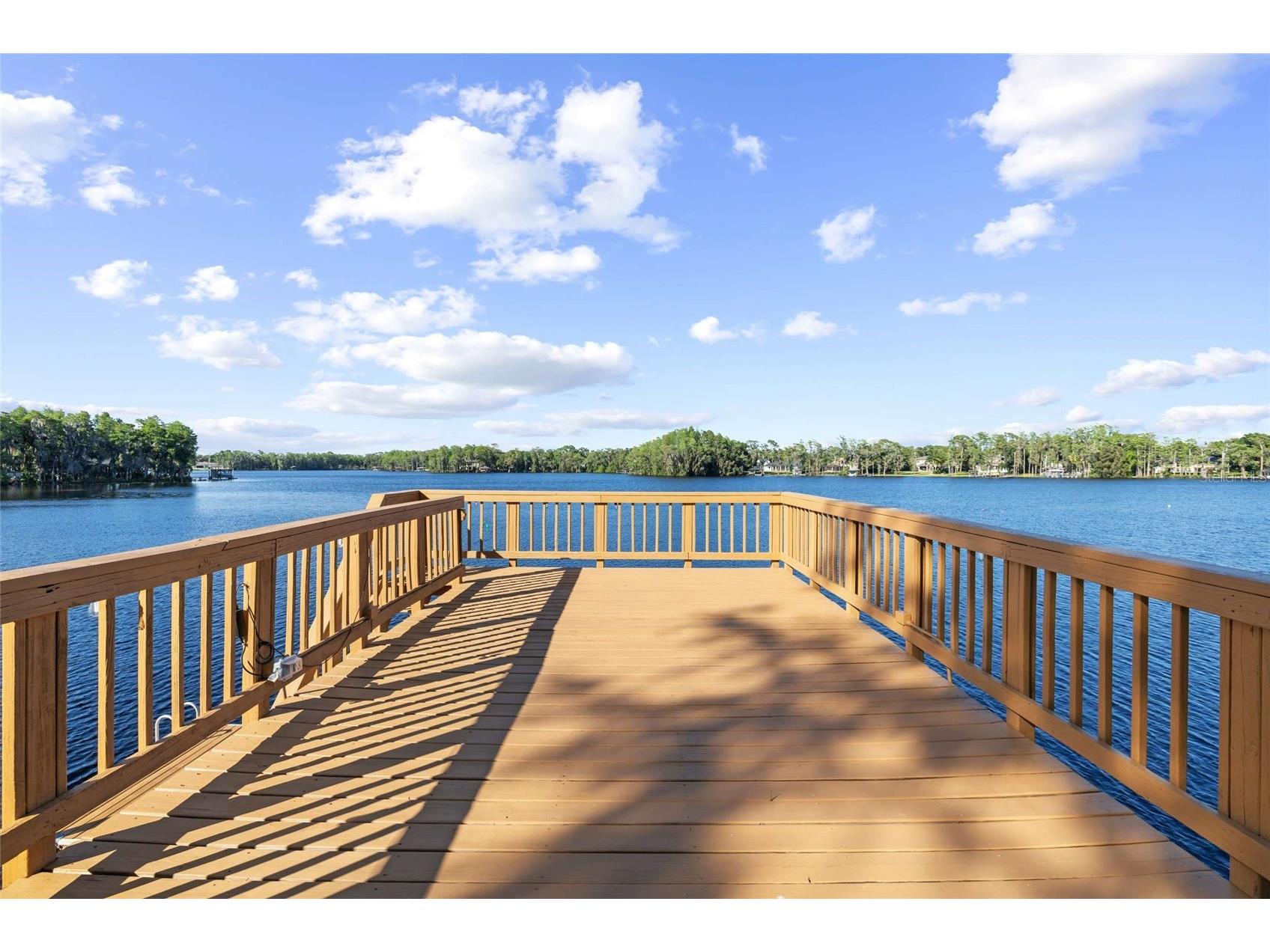 9901 Menander Wood Court Odessa FL 33556 - LAKE PRETTY TB8498715 image72