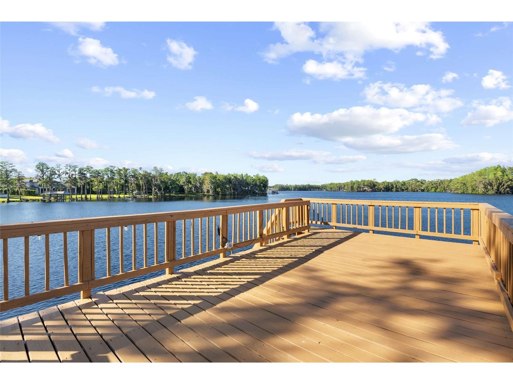 9901 Menander Wood Court Odessa FL 33556 - LAKE PRETTY TB8498715 image73