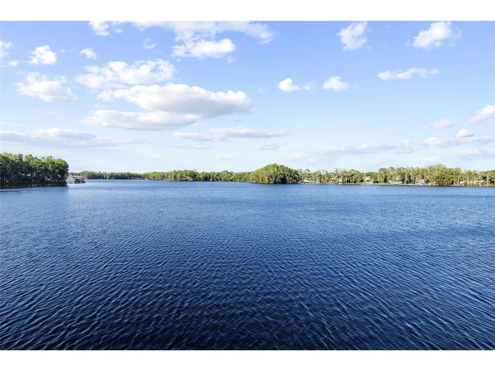 9901 Menander Wood Court Odessa FL 33556 - LAKE PRETTY TB8498715 image74