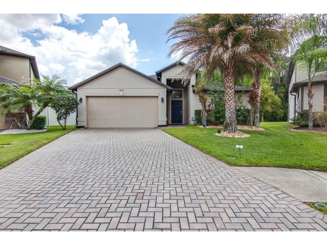 9901 Spice Bush Court Tampa FL 33647 T3446605 image1