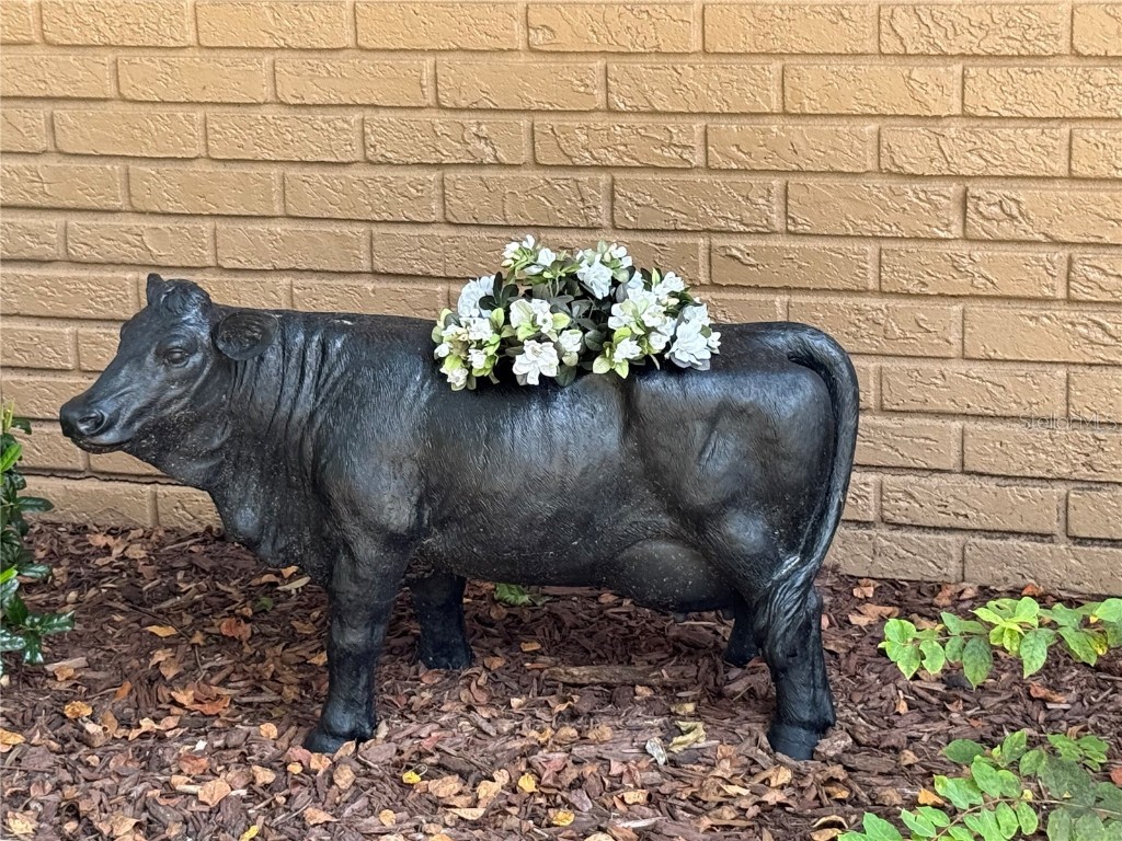 9901 SW 67th Terrace Ocala FL 34476 OM708424 image54