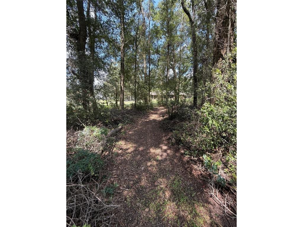 9901 SW 67th Terrace Ocala FL 34476 OM708424 image57