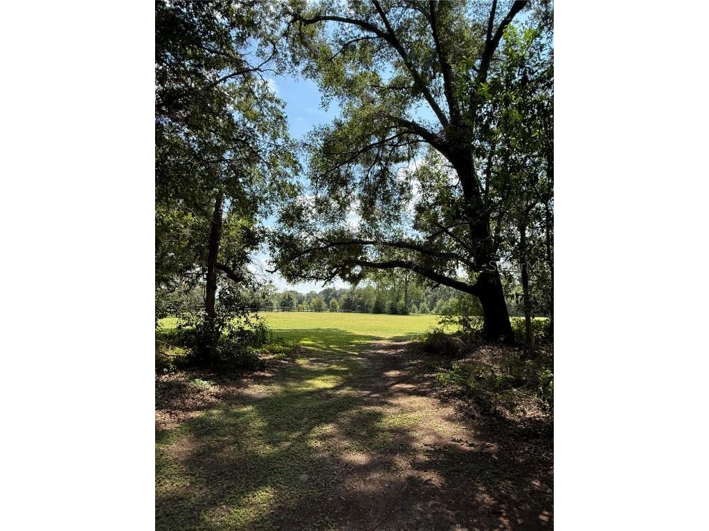9901 SW 67th Terrace Ocala FL 34476 OM708424 image67