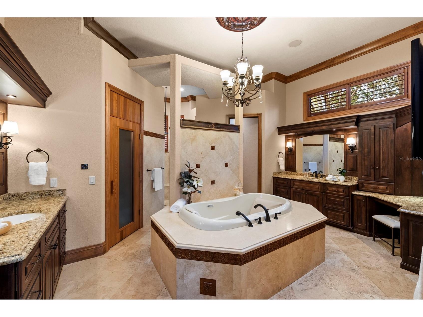 9902 Menander Wood Court Odessa FL 33556 TB8478666 image40