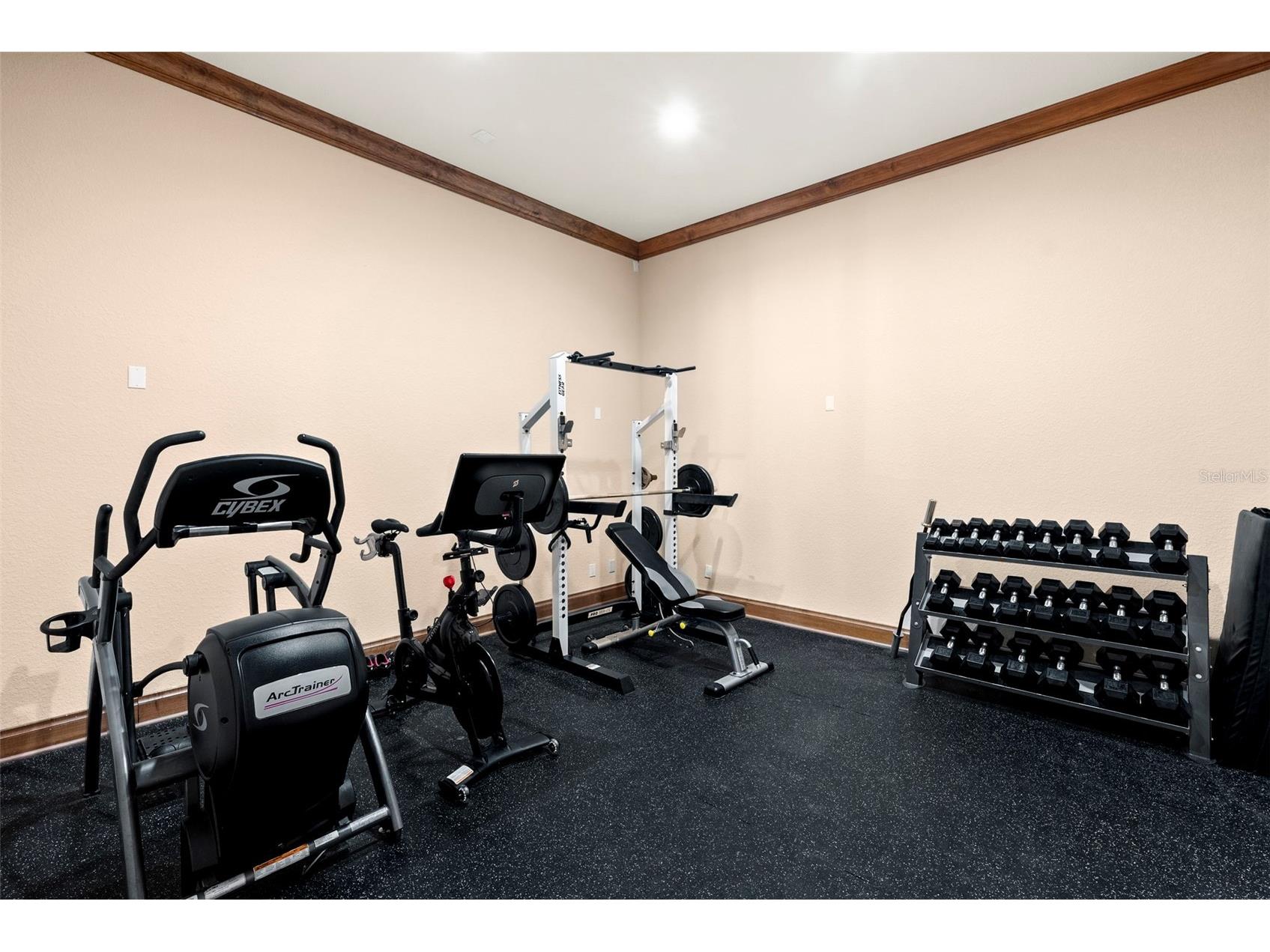 9902 Menander Wood Court Odessa FL 33556 TB8478666 image47