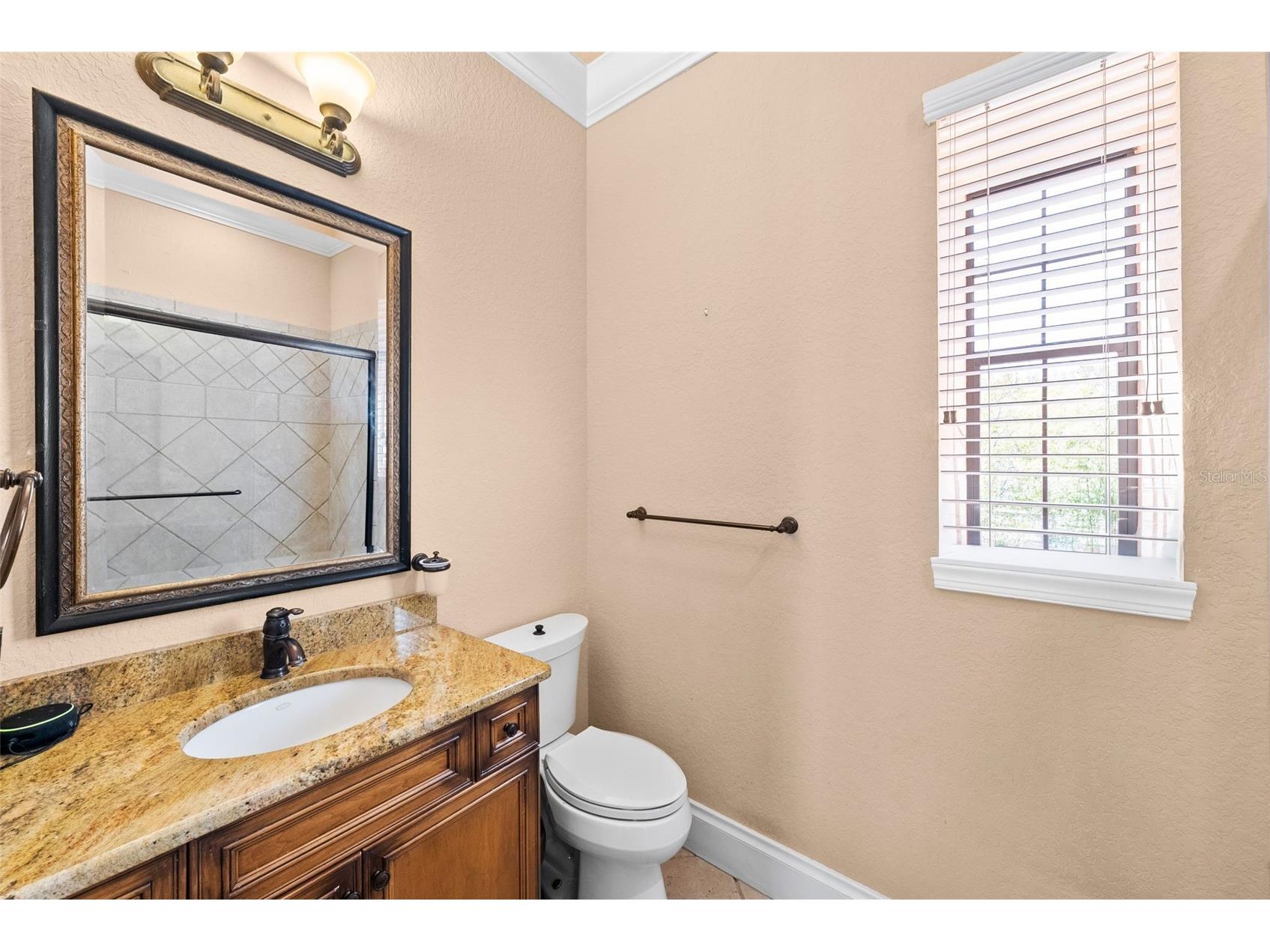 9902 Menander Wood Court Odessa FL 33556 TB8478666 image60