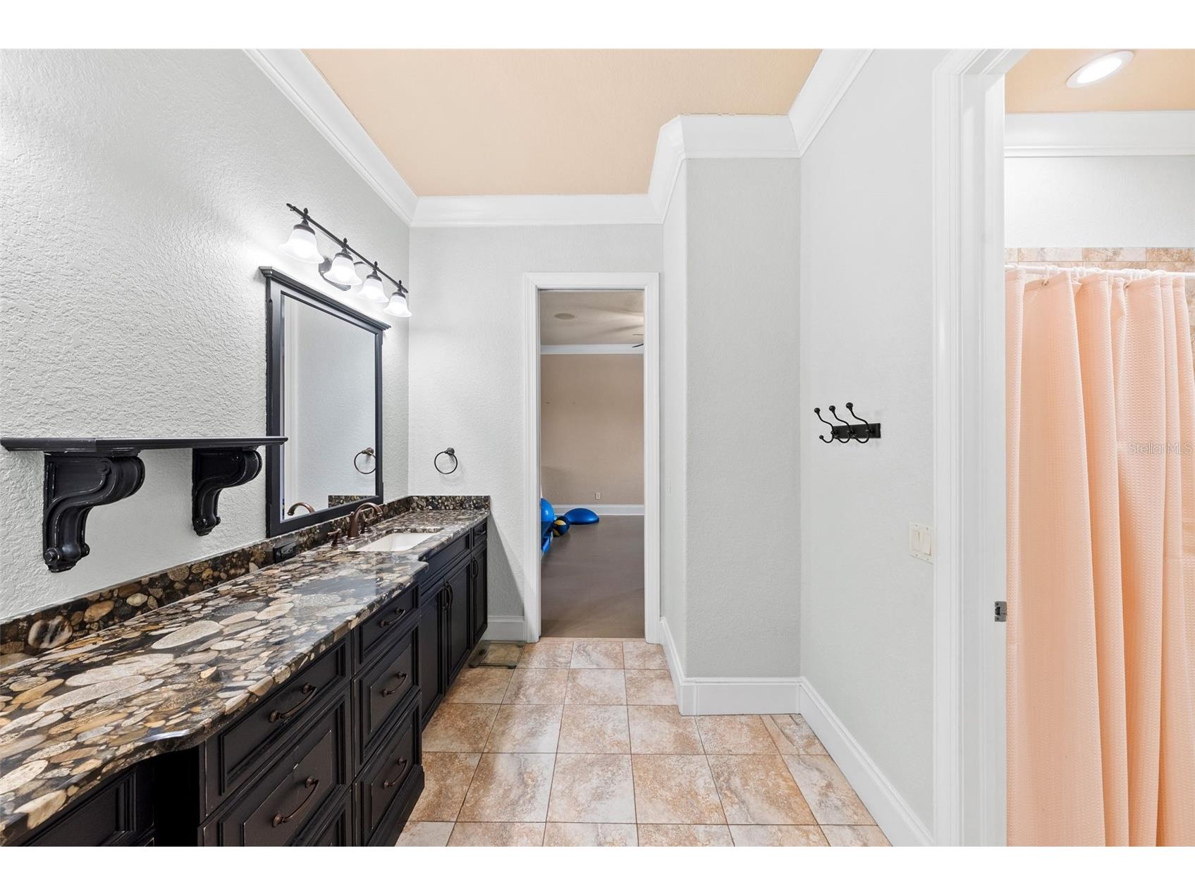 9902 Menander Wood Court Odessa FL 33556 TB8478666 image68