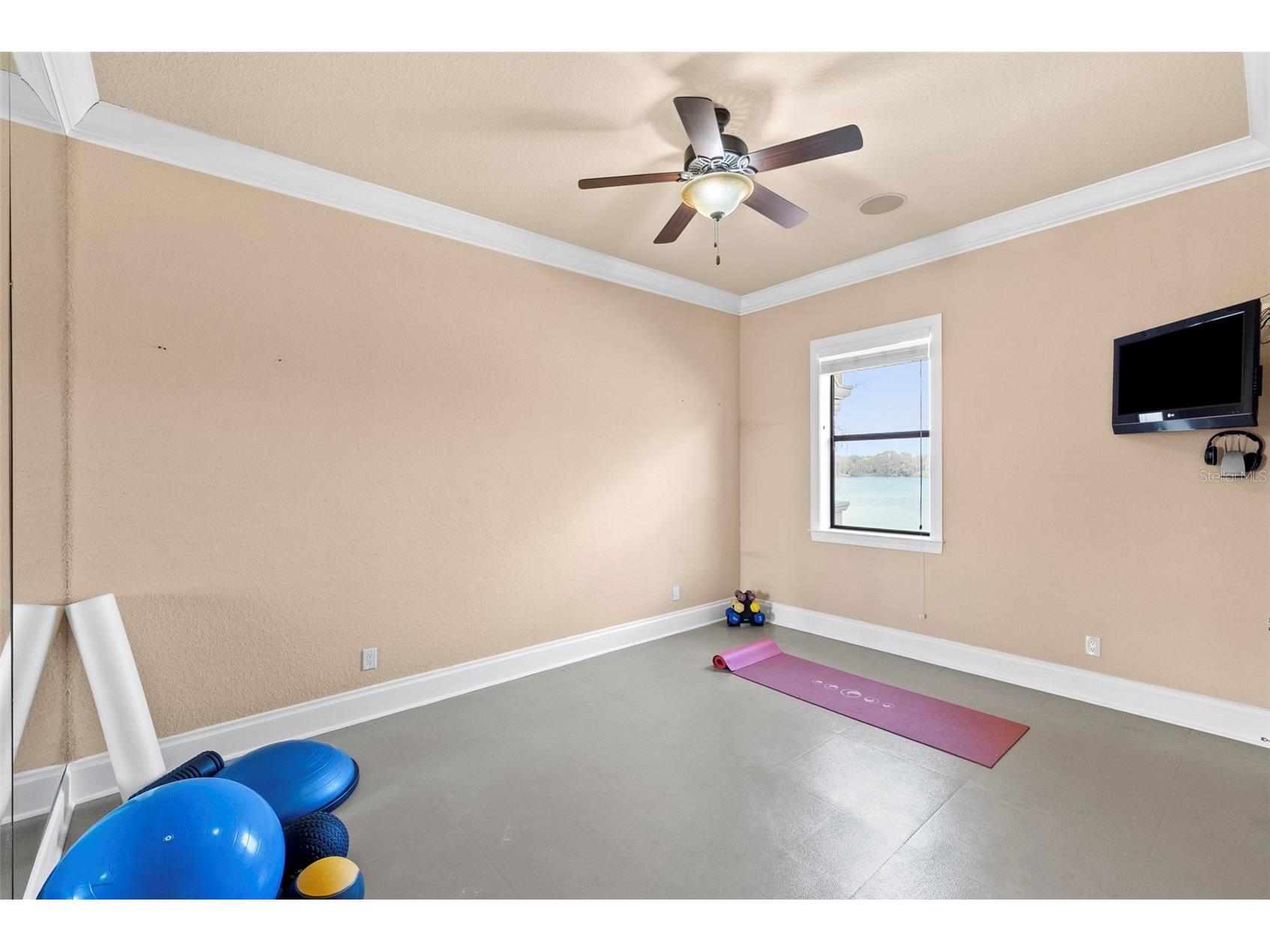 9902 Menander Wood Court Odessa FL 33556 TB8478666 image69