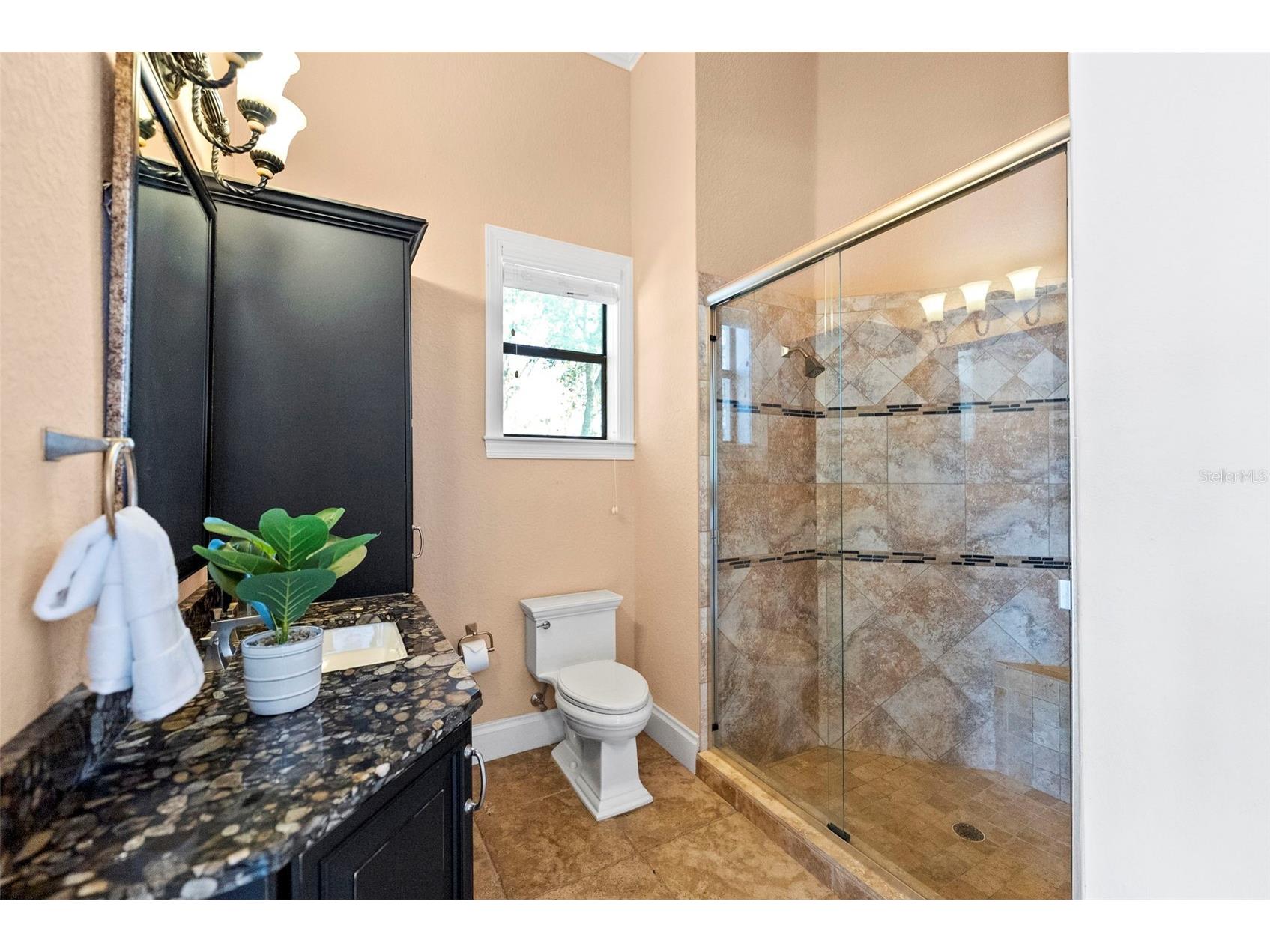 9902 Menander Wood Court Odessa FL 33556 TB8478666 image81