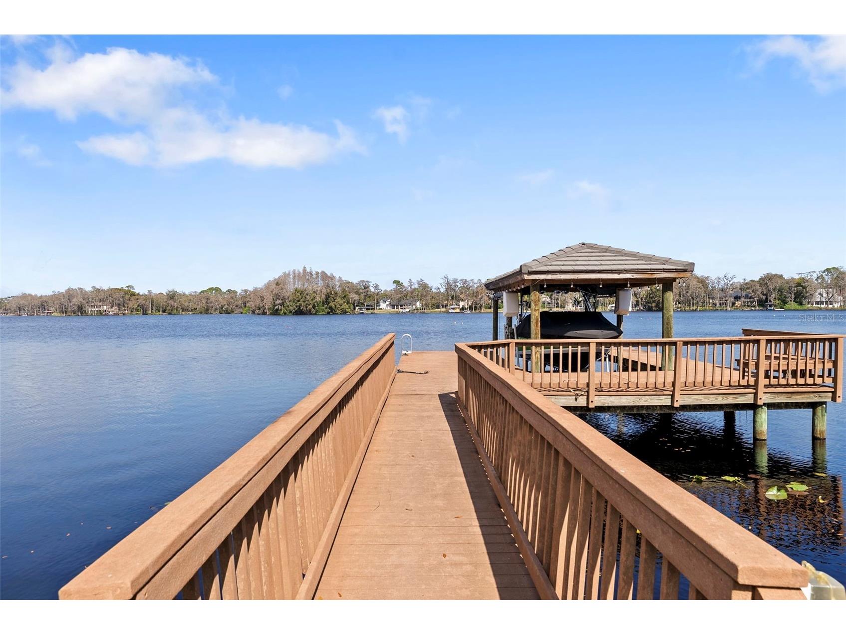 9902 Menander Wood Court Odessa FL 33556 TB8478666 image93