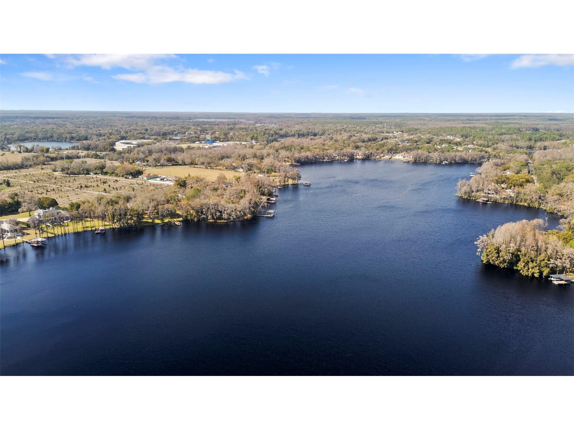 9902 Menander Wood Court Odessa FL 33556 TB8478666 image99