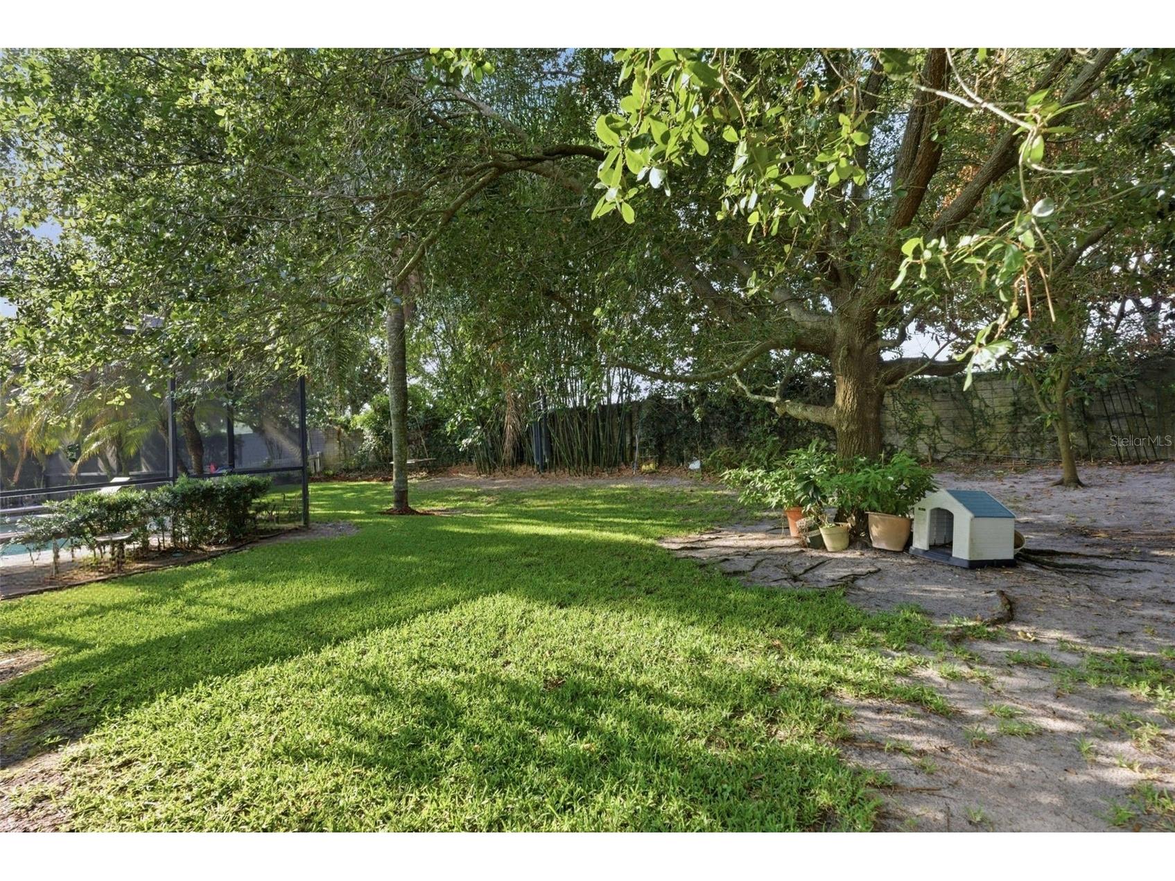 9902 Nokay Drive Orlando FL 32836 O6406509 image34