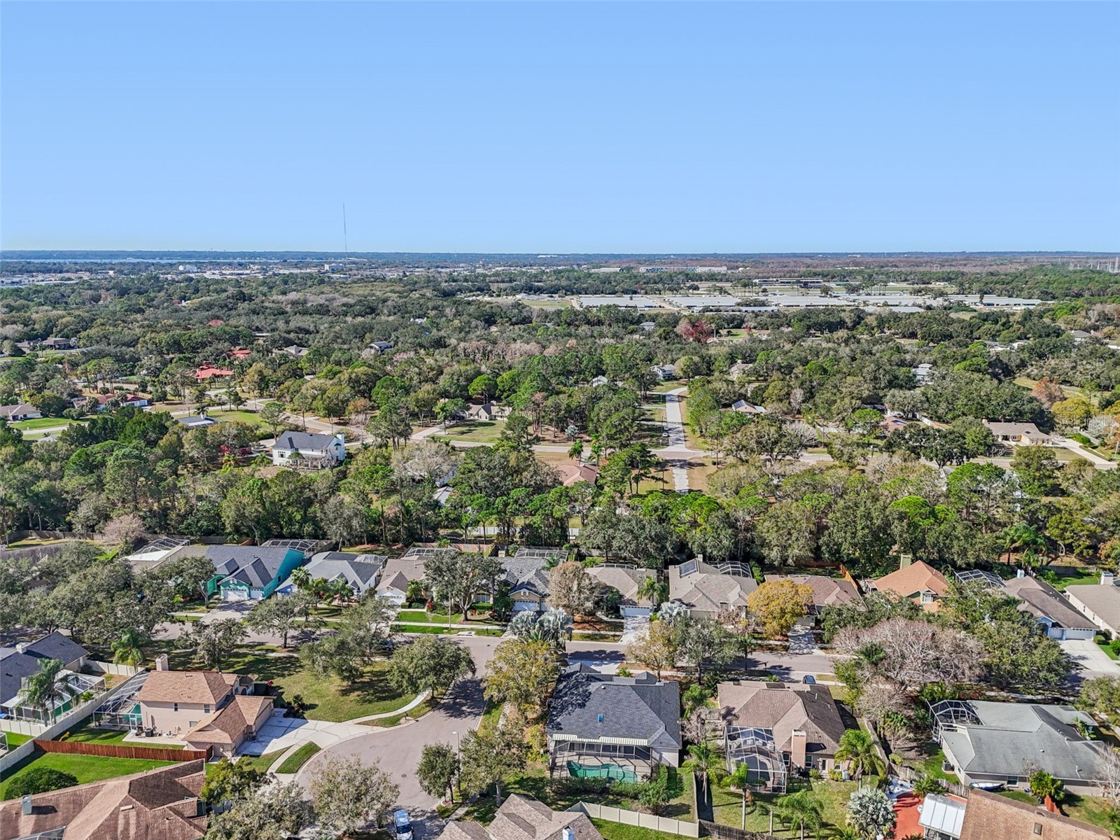 9903 Bennington Drive Tampa FL 33626 TB8464964 image100