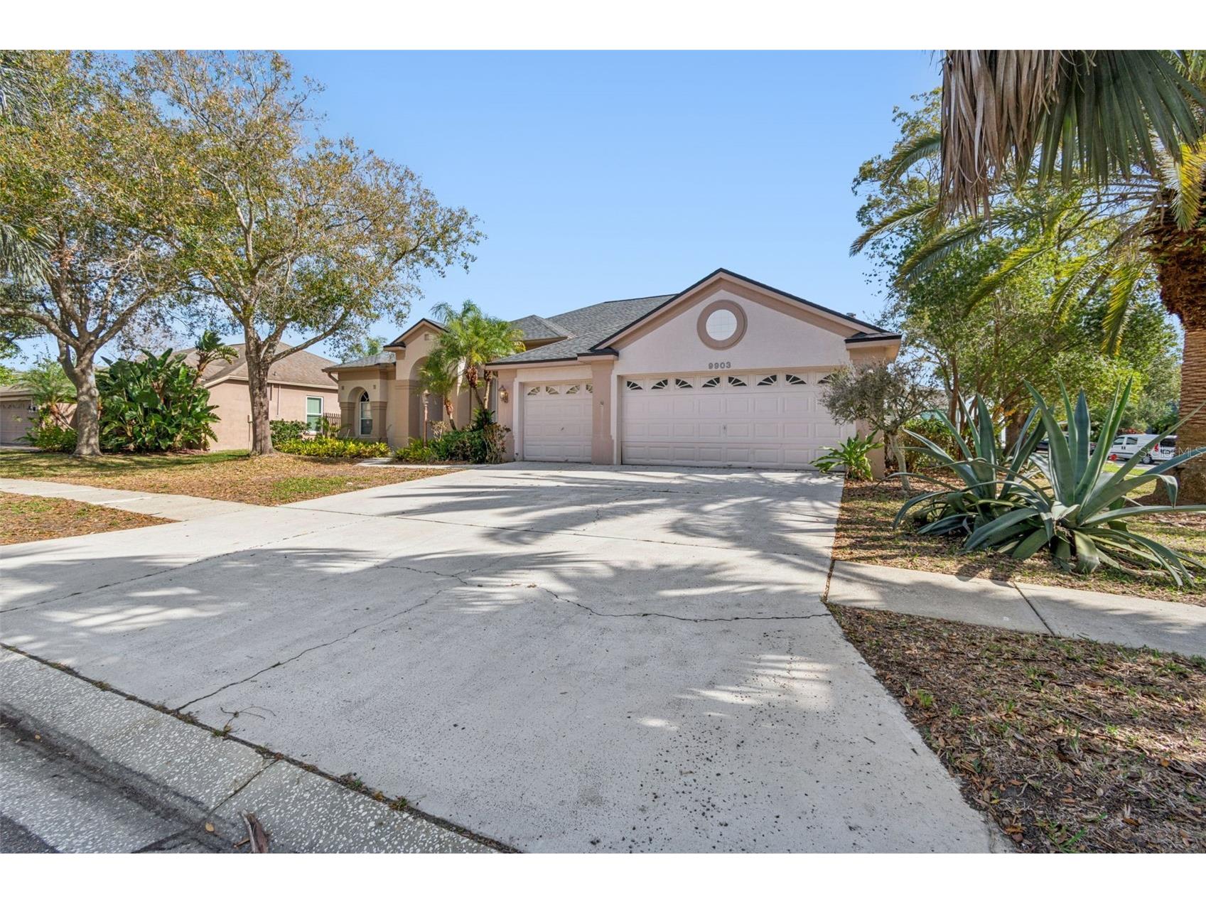 9903 Bennington Drive Tampa FL 33626 TB8464964 image2