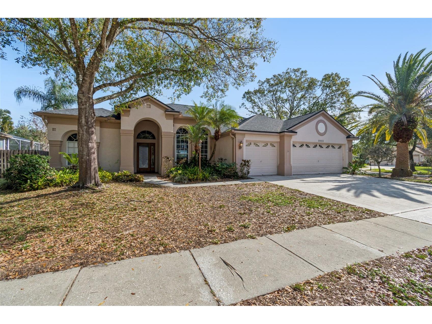 9903 Bennington Drive Tampa FL 33626 TB8464964 image7