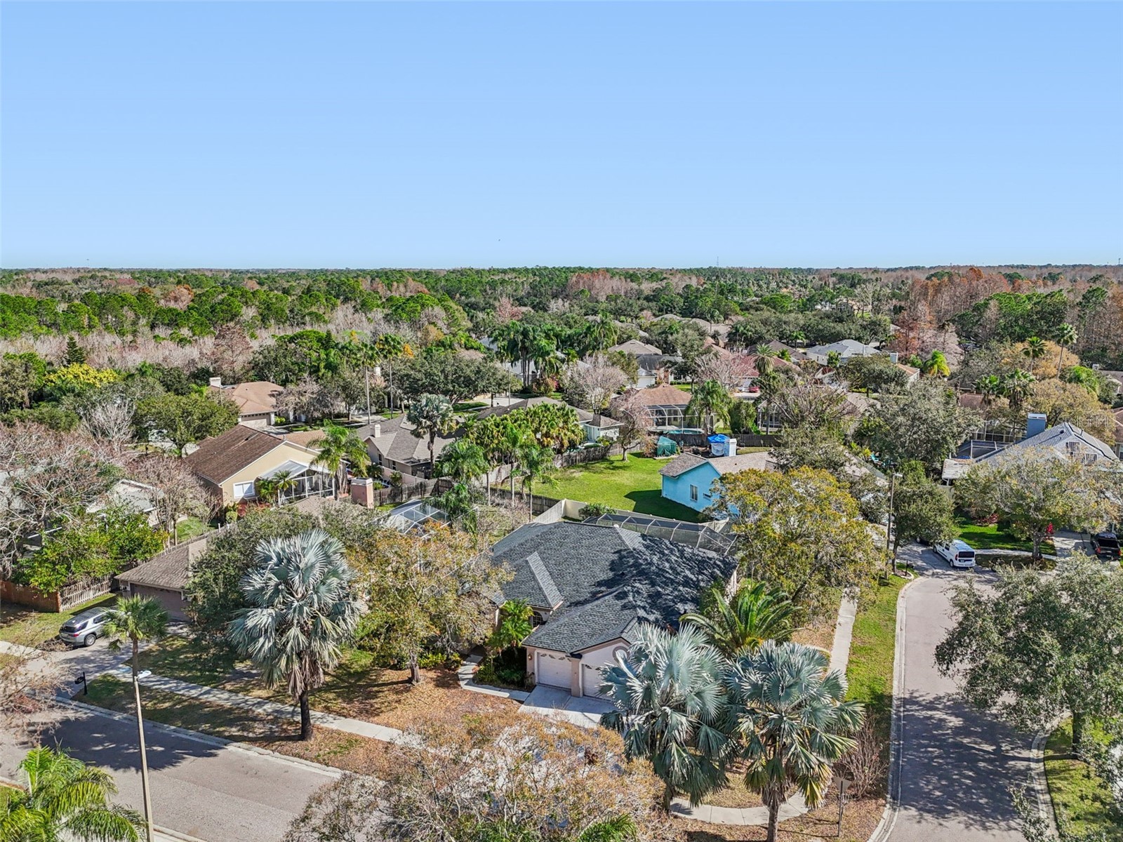 9903 Bennington Drive Tampa FL 33626 TB8464964 image93