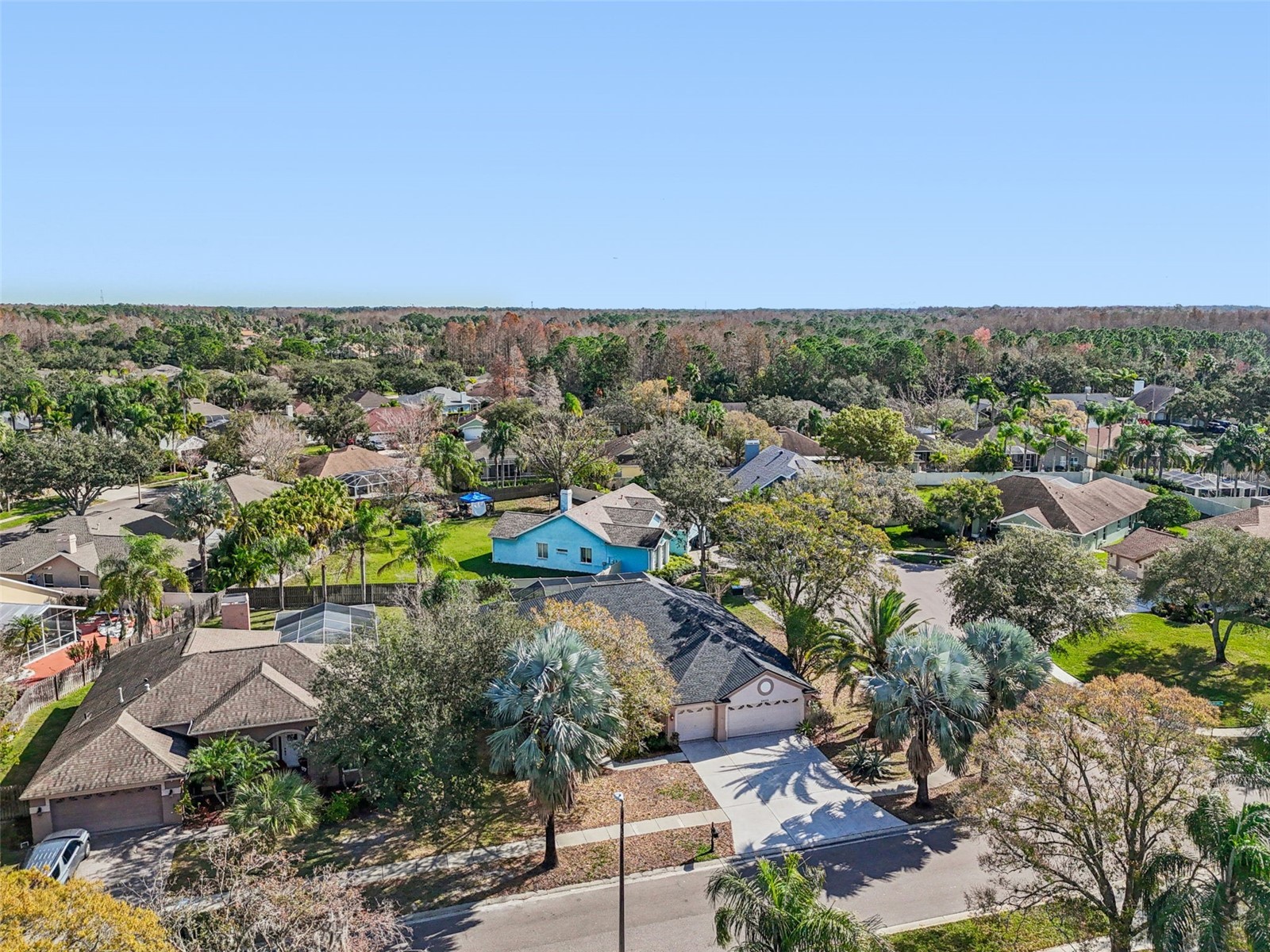 9903 Bennington Drive Tampa FL 33626 TB8464964 image94