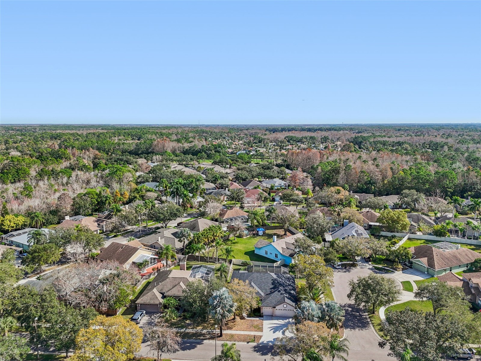 9903 Bennington Drive Tampa FL 33626 TB8464964 image95