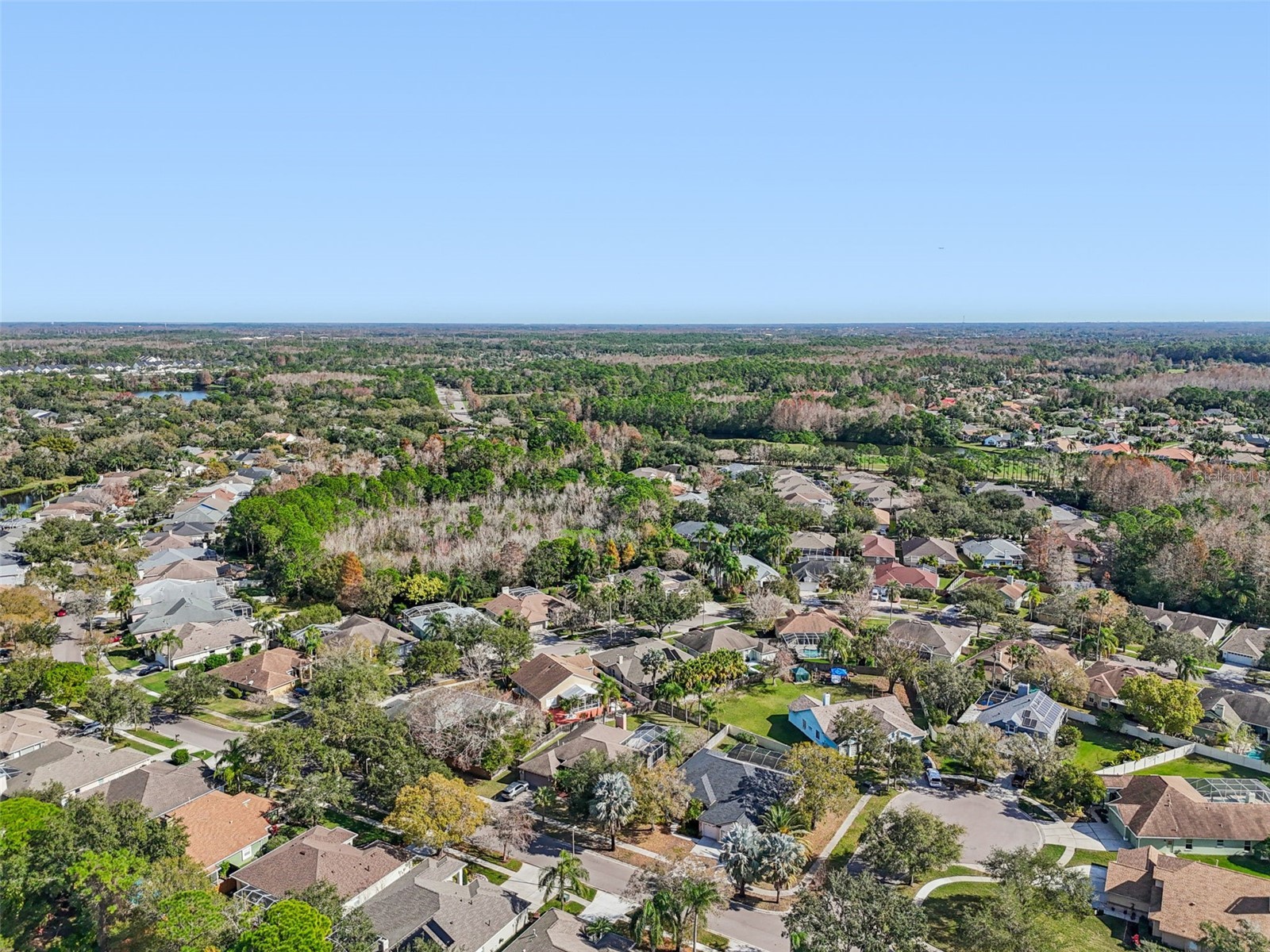 9903 Bennington Drive Tampa FL 33626 TB8464964 image96