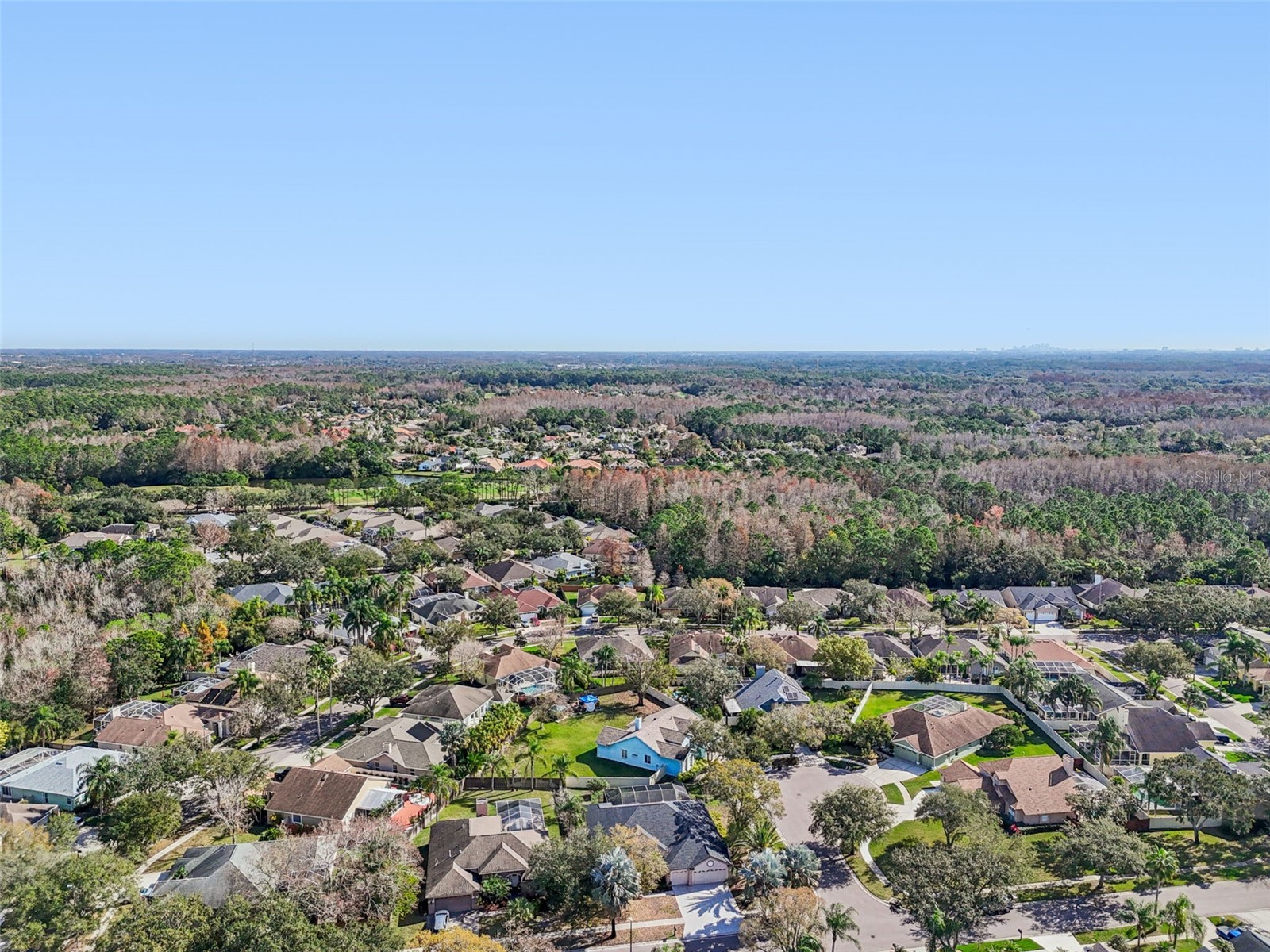 9903 Bennington Drive Tampa FL 33626 TB8464964 image97