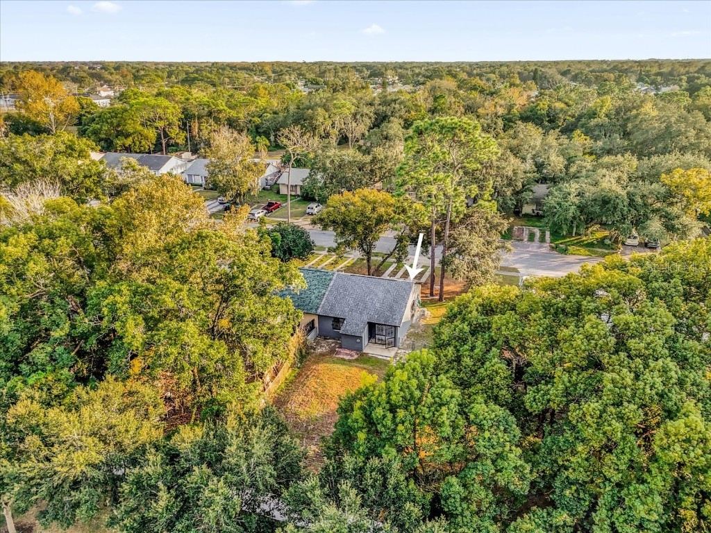 9903 River Crest Court Orlando FL 32825 O6366146 image34