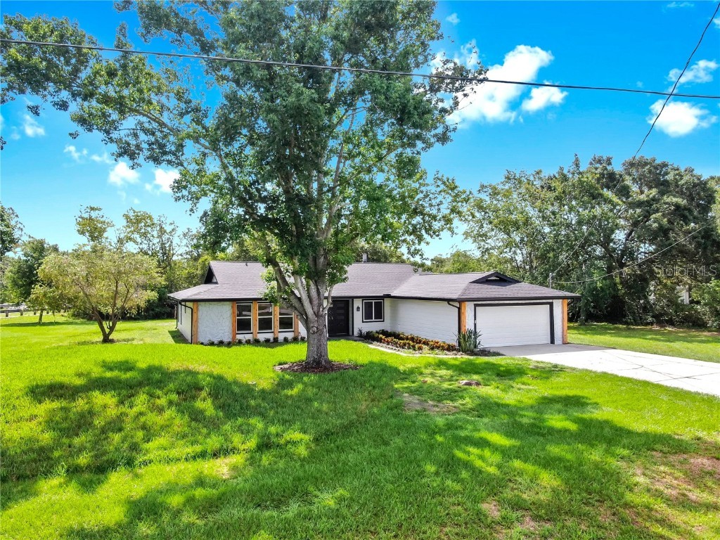 9903 Saddle Road Tampa FL 33626 TB8394860 image3