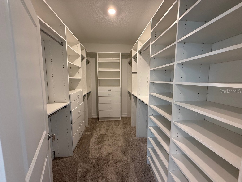 9904 Wild Begonia Loop Land O Lakes FL 34637 W7878360 image15