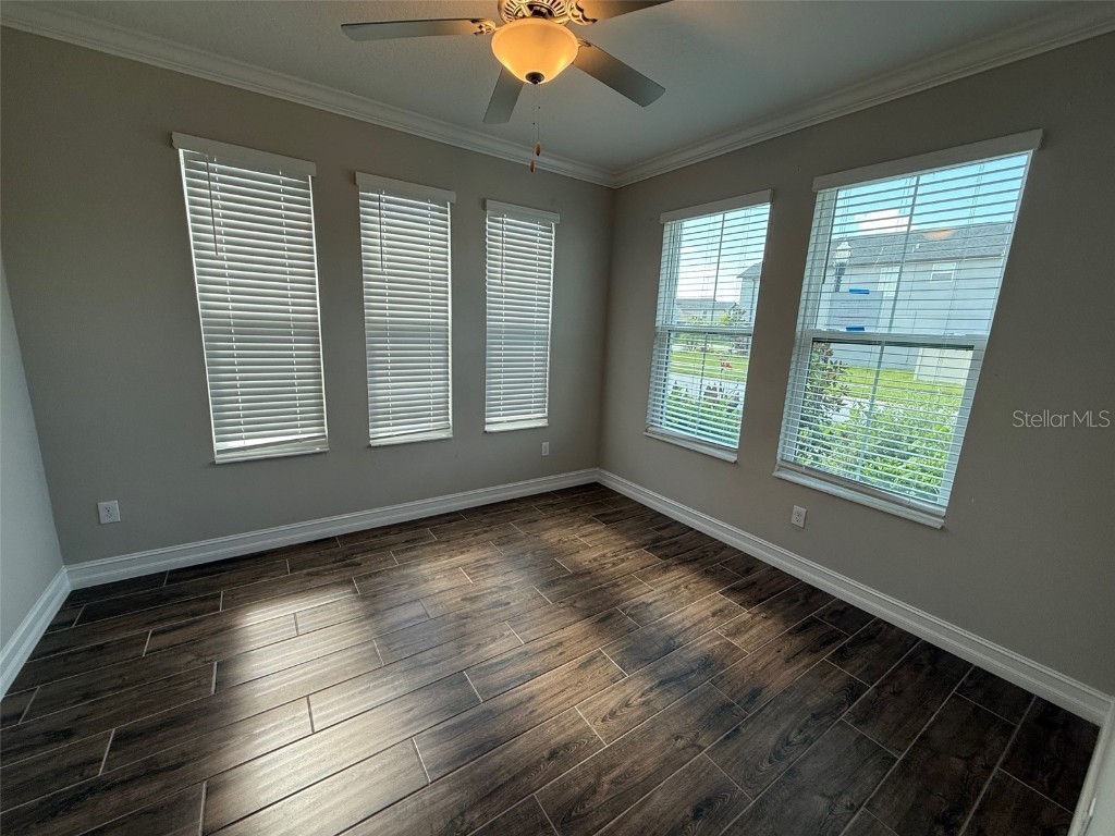 9904 Wild Begonia Loop Land O Lakes FL 34637 W7878360 image25