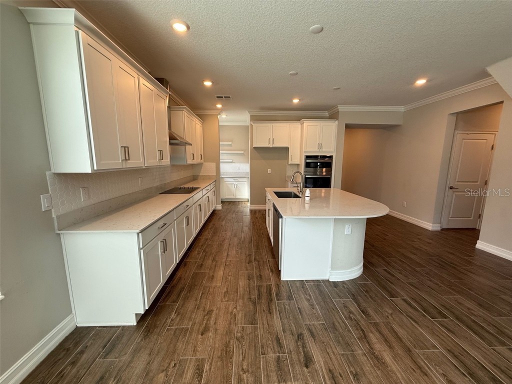 9904 Wild Begonia Loop Land O Lakes FL 34637 W7878360 image3