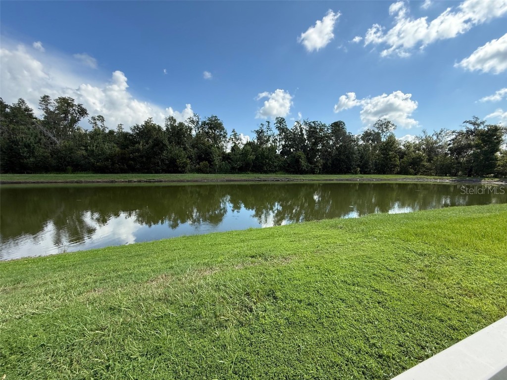 9904 Wild Begonia Loop Land O Lakes FL 34637 W7878360 image30