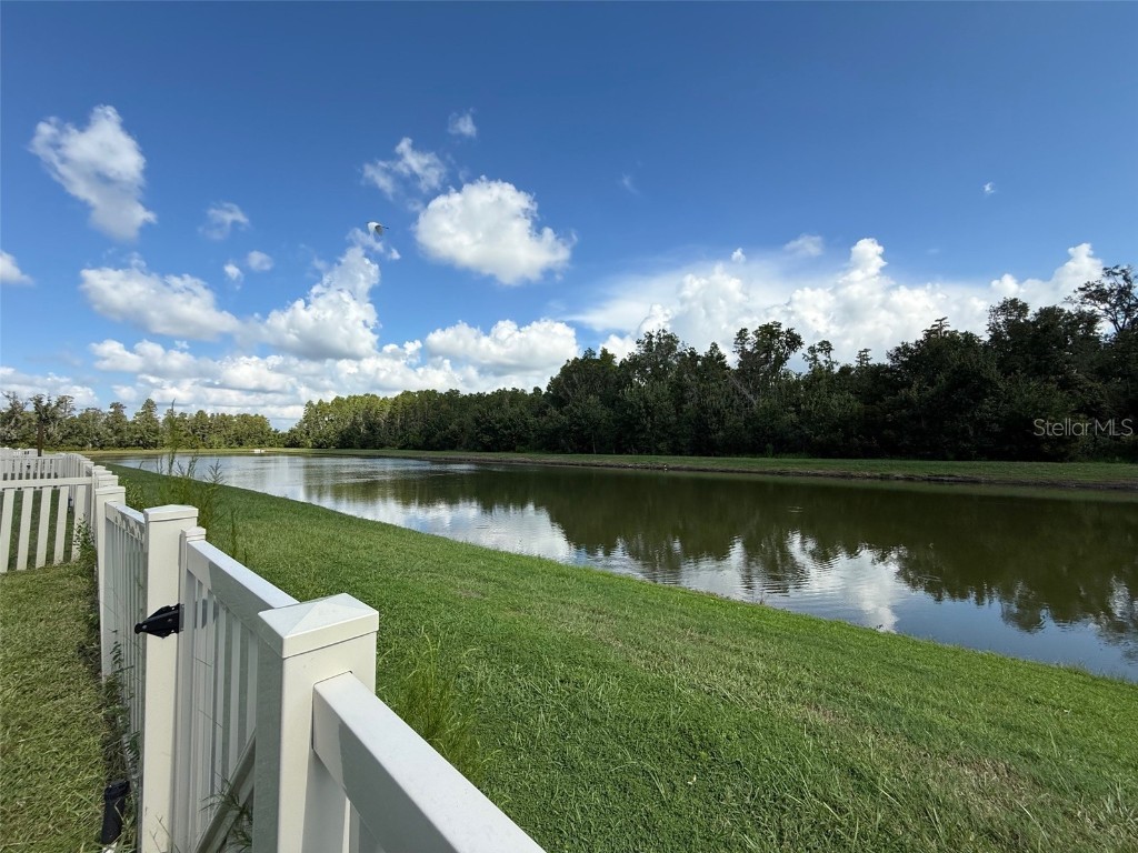 9904 Wild Begonia Loop Land O Lakes FL 34637 W7878360 image31