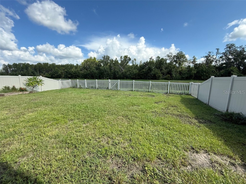 9904 Wild Begonia Loop Land O Lakes FL 34637 W7878360 image32