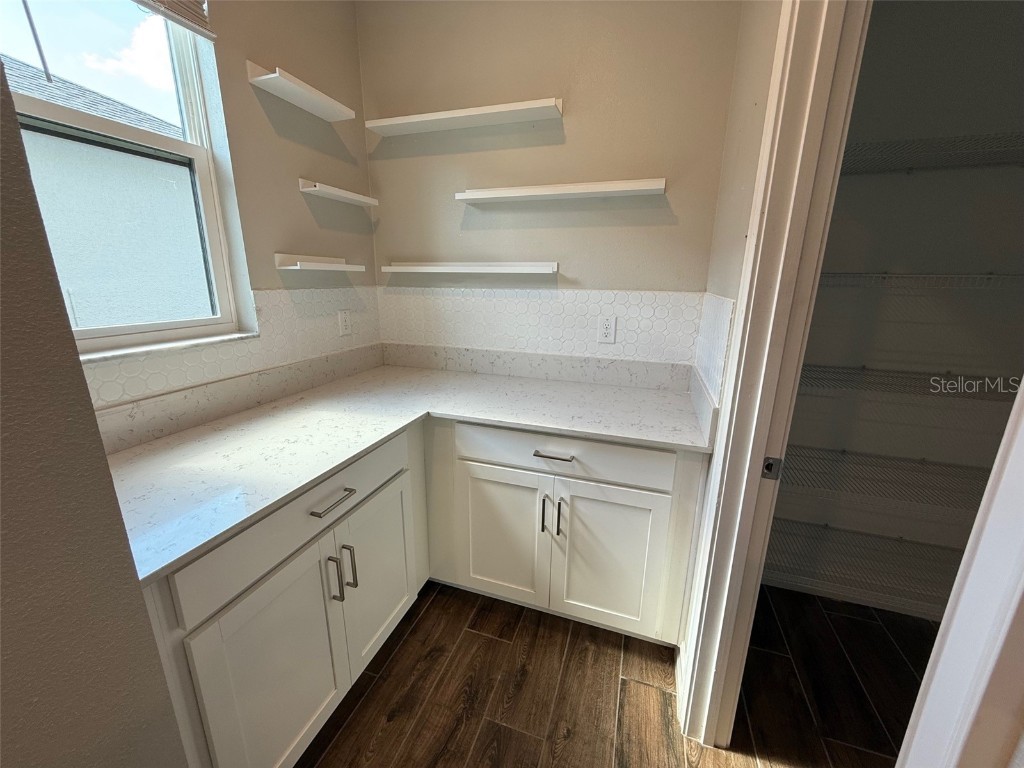 9904 Wild Begonia Loop Land O Lakes FL 34637 W7878360 image5