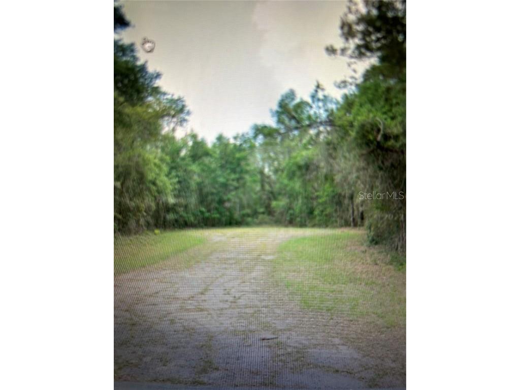9905 N Rio Point Dunnellon FL 34434 J976336 image1