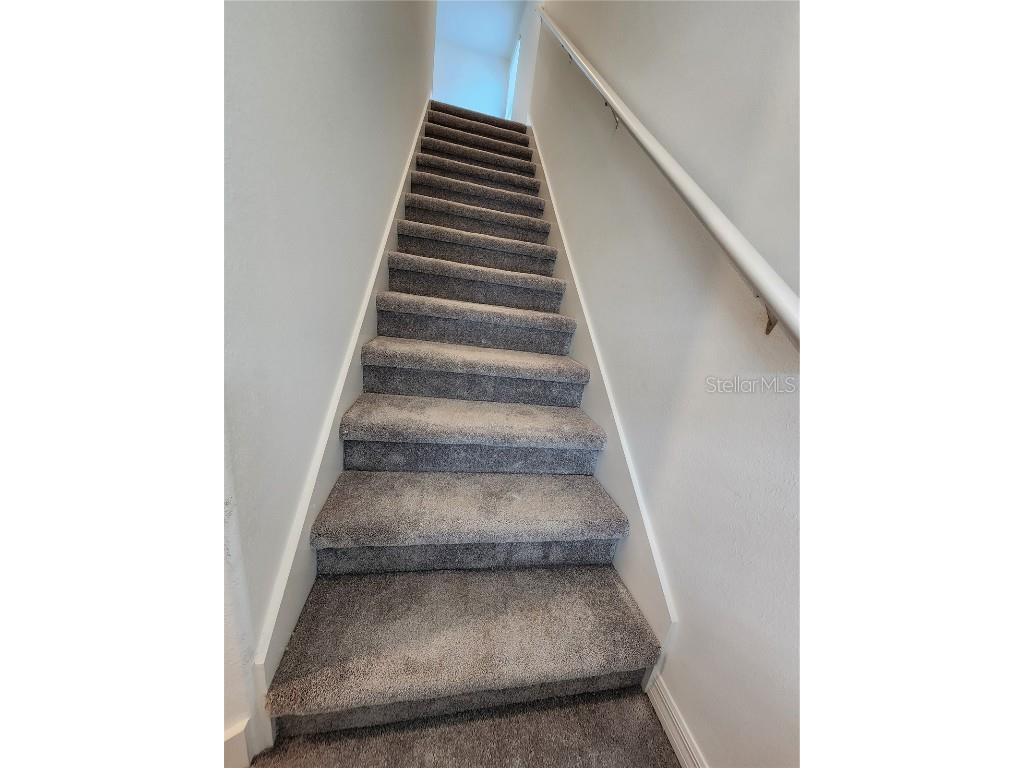 9905 Spanish Lime Court Riverview FL 33578 TB8456412 image12