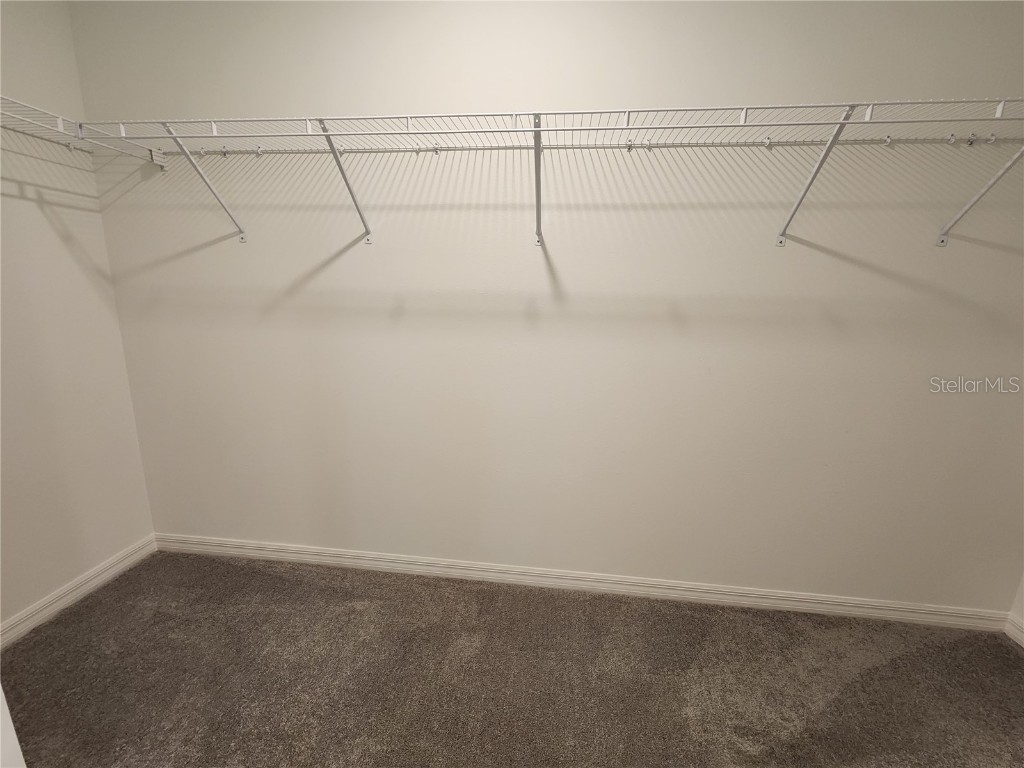 9905 Spanish Lime Court Riverview FL 33578 TB8456412 image19