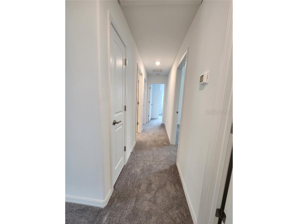 9905 Spanish Lime Court Riverview FL 33578 TB8456412 image20