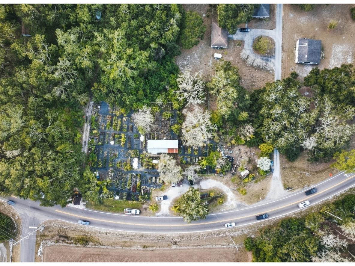 9906 Gunn Highway Odessa FL 33556 - LAKE RALEIGH TB8463972 image10