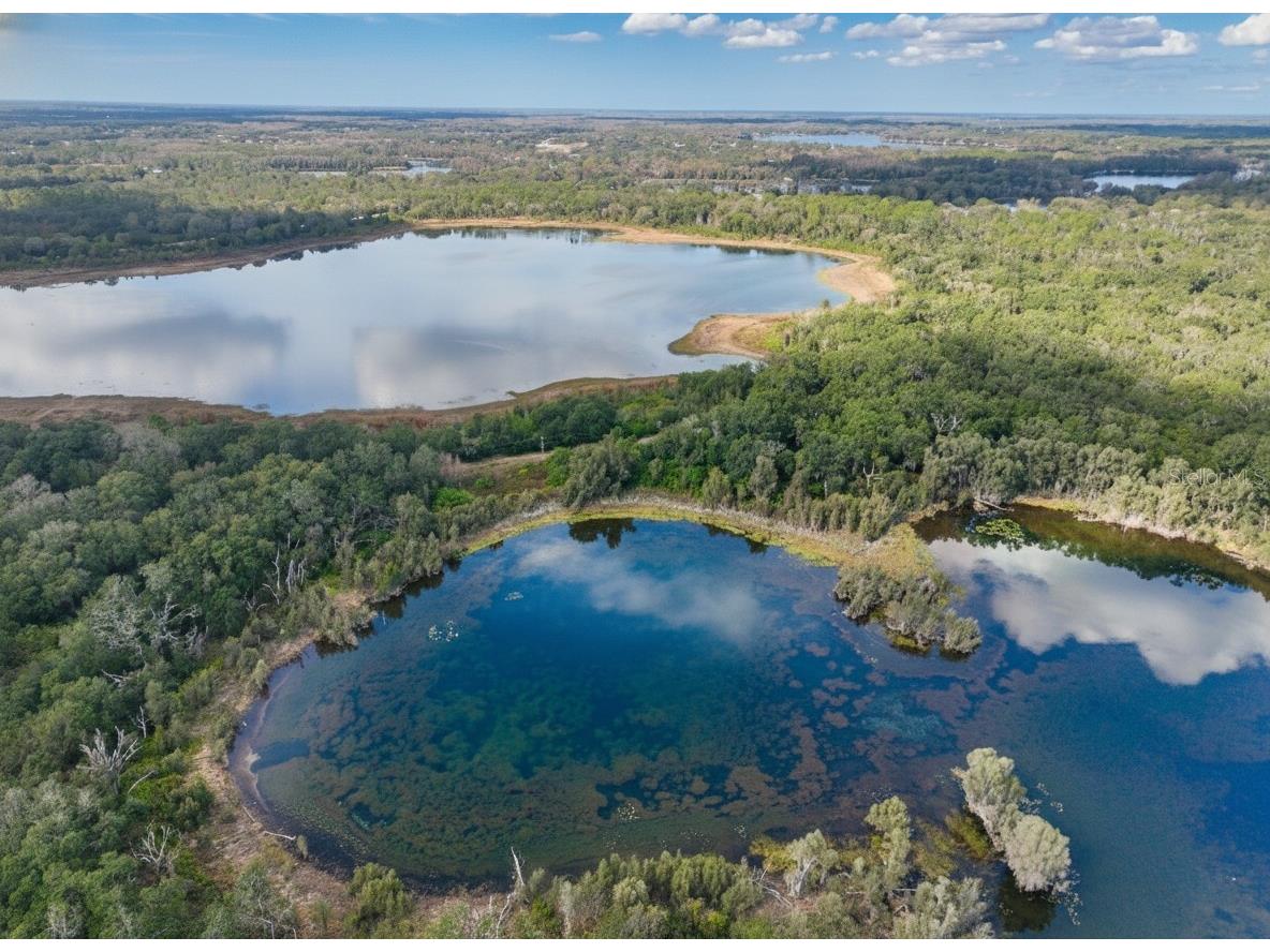 9906 Gunn Highway Odessa FL 33556 - LAKE RALEIGH TB8463972 image12