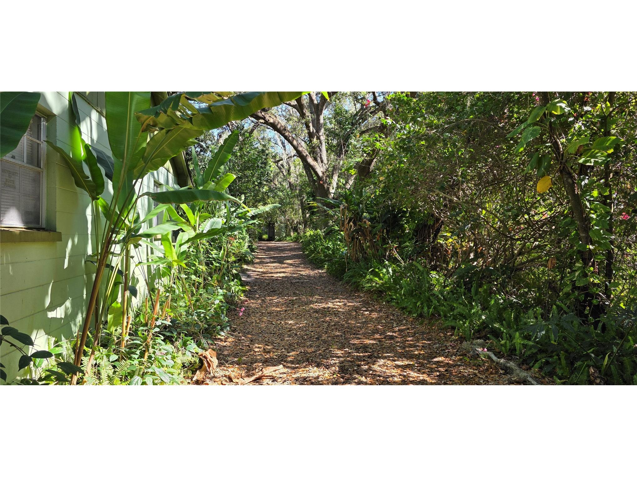 9906 Gunn Highway Odessa FL 33556 - LAKE RALEIGH TB8463972 image13