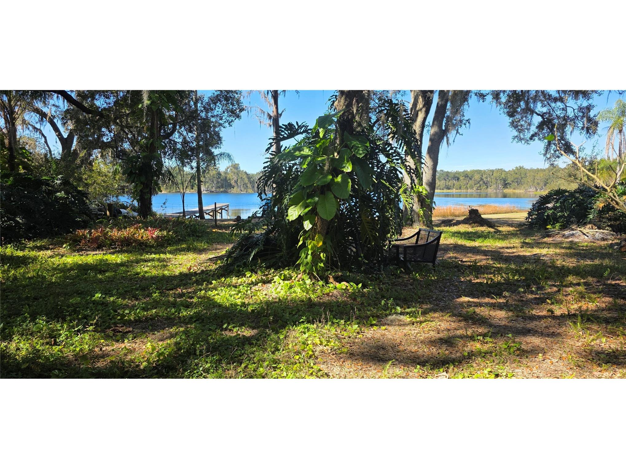9906 Gunn Highway Odessa FL 33556 - LAKE RALEIGH TB8463972 image15