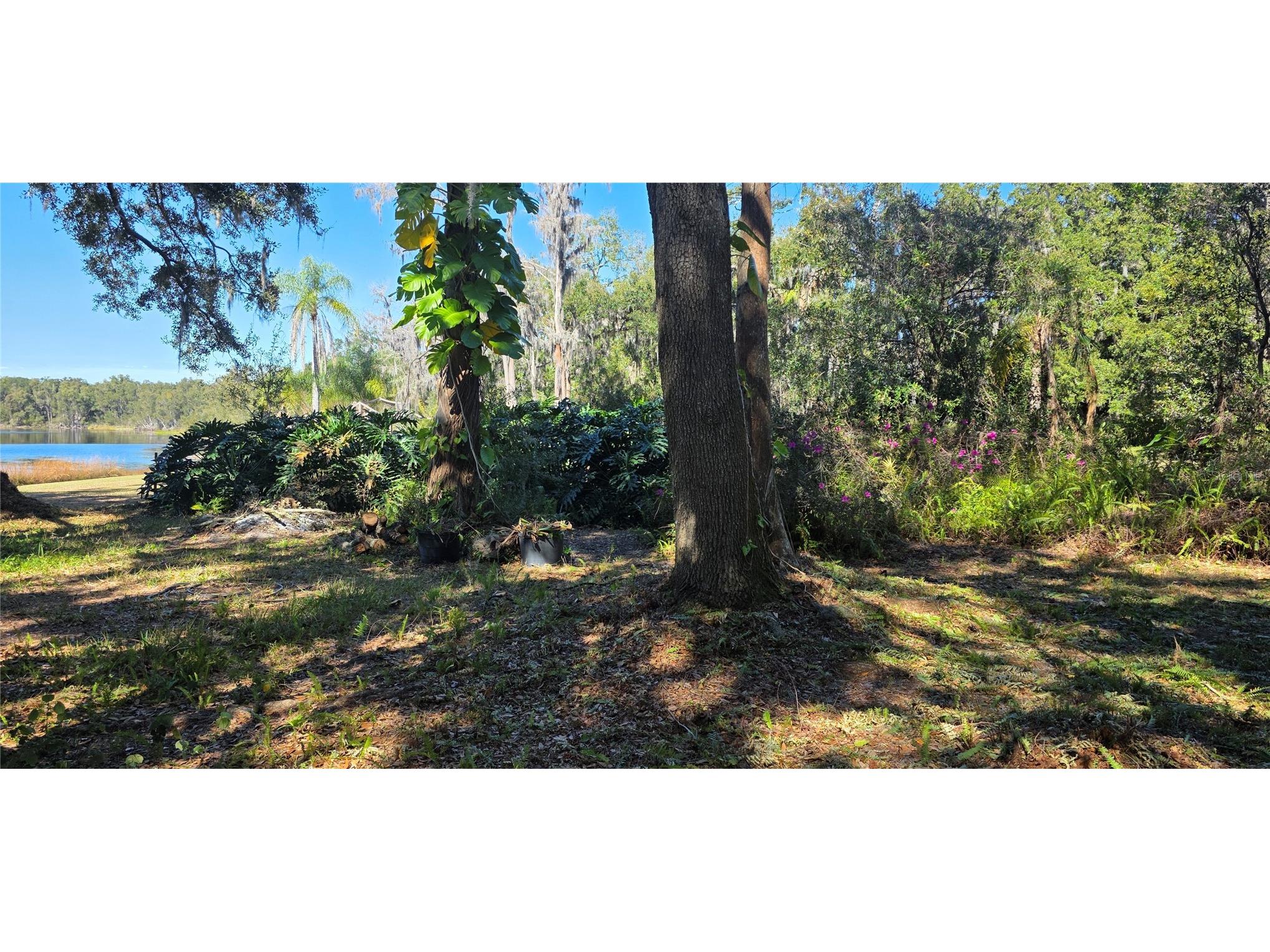 9906 Gunn Highway Odessa FL 33556 - LAKE RALEIGH TB8463972 image16