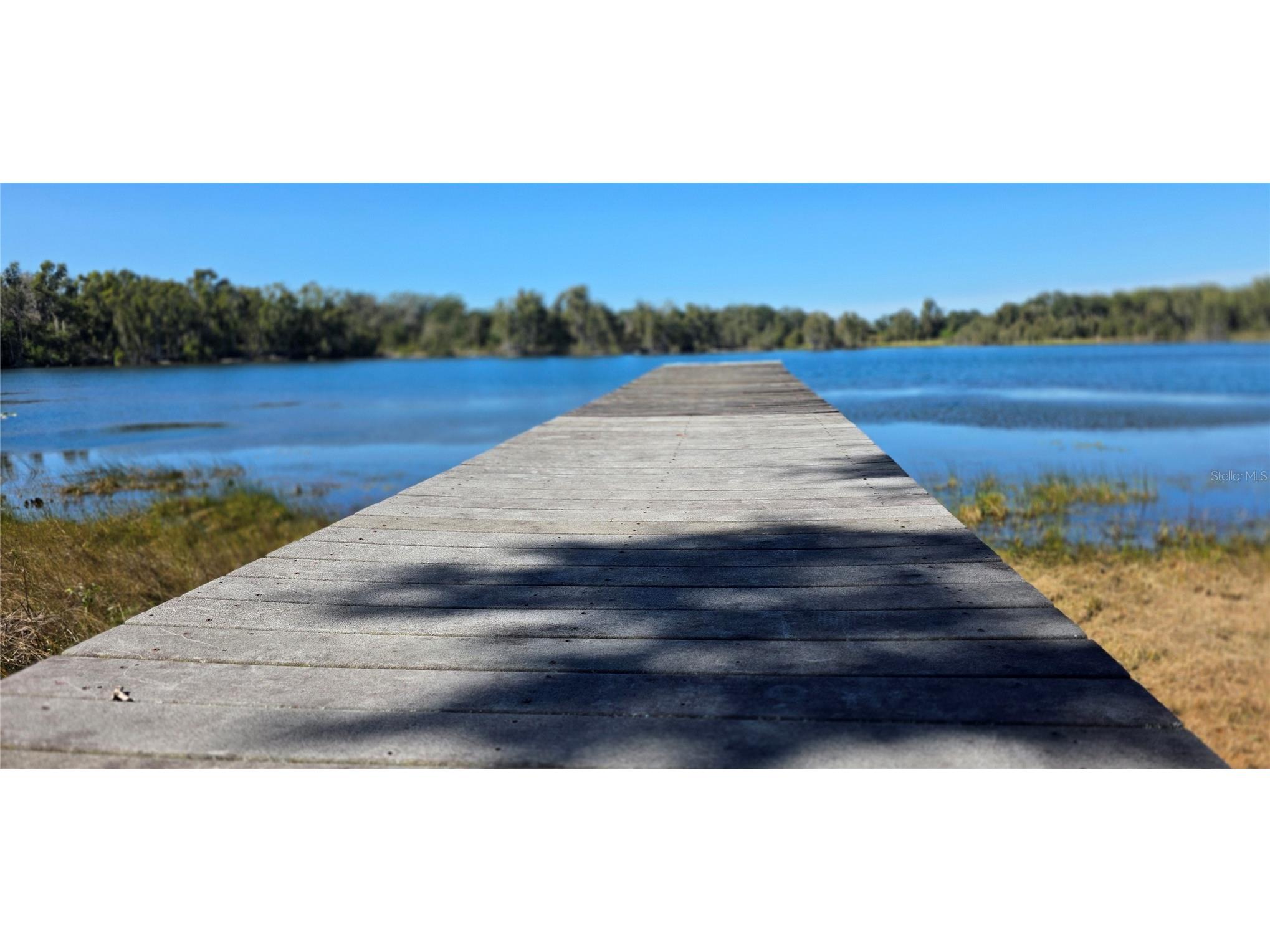 9906 Gunn Highway Odessa FL 33556 - LAKE RALEIGH TB8463972 image19