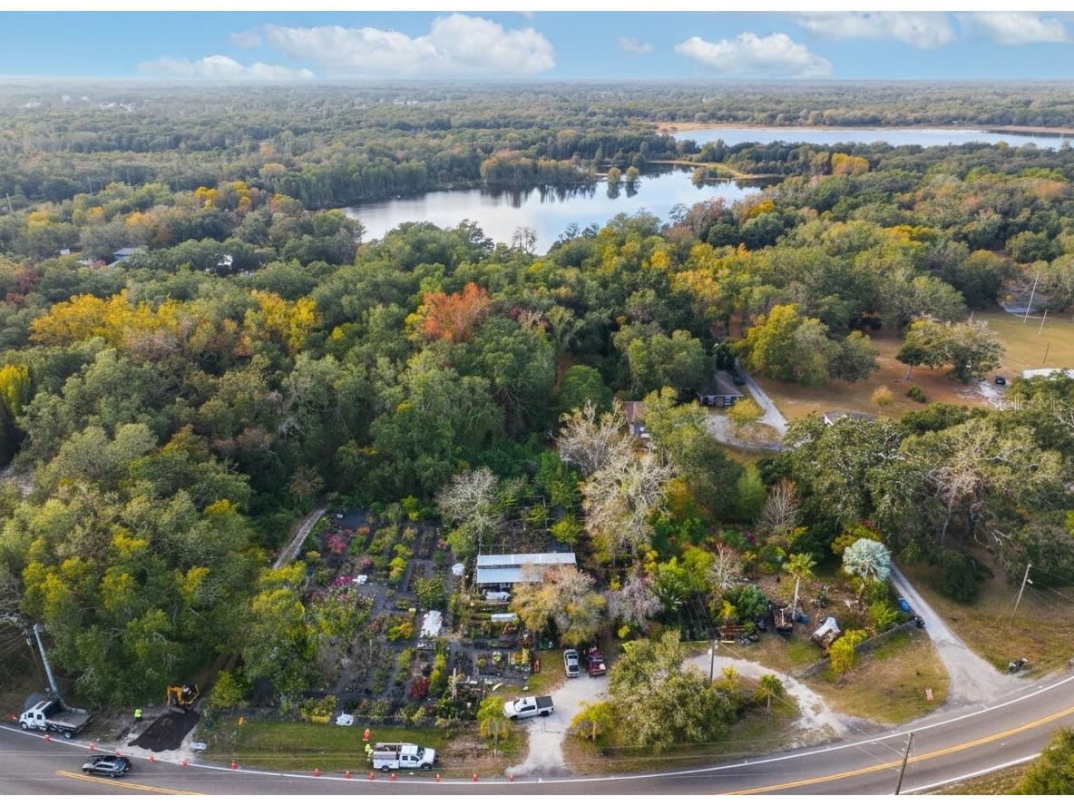 9906 Gunn Highway Odessa FL 33556 - LAKE RALEIGH TB8463972 image2
