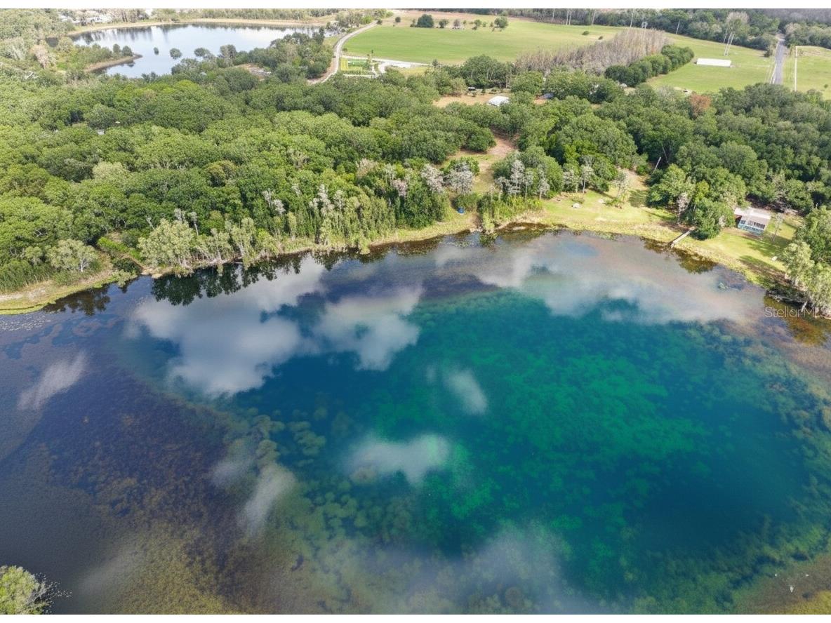 9906 Gunn Highway Odessa FL 33556 - LAKE RALEIGH TB8463972 image20