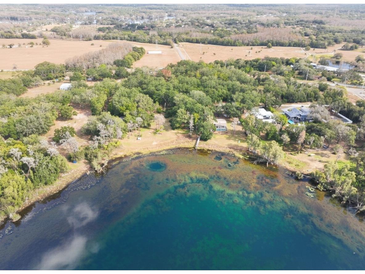 9906 Gunn Highway Odessa FL 33556 - LAKE RALEIGH TB8463972 image21