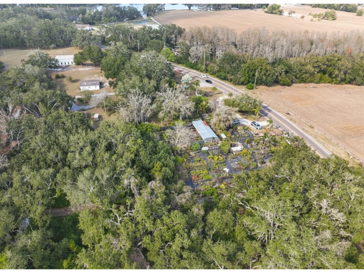 9906 Gunn Highway Odessa FL 33556 - LAKE RALEIGH TB8463972 image24