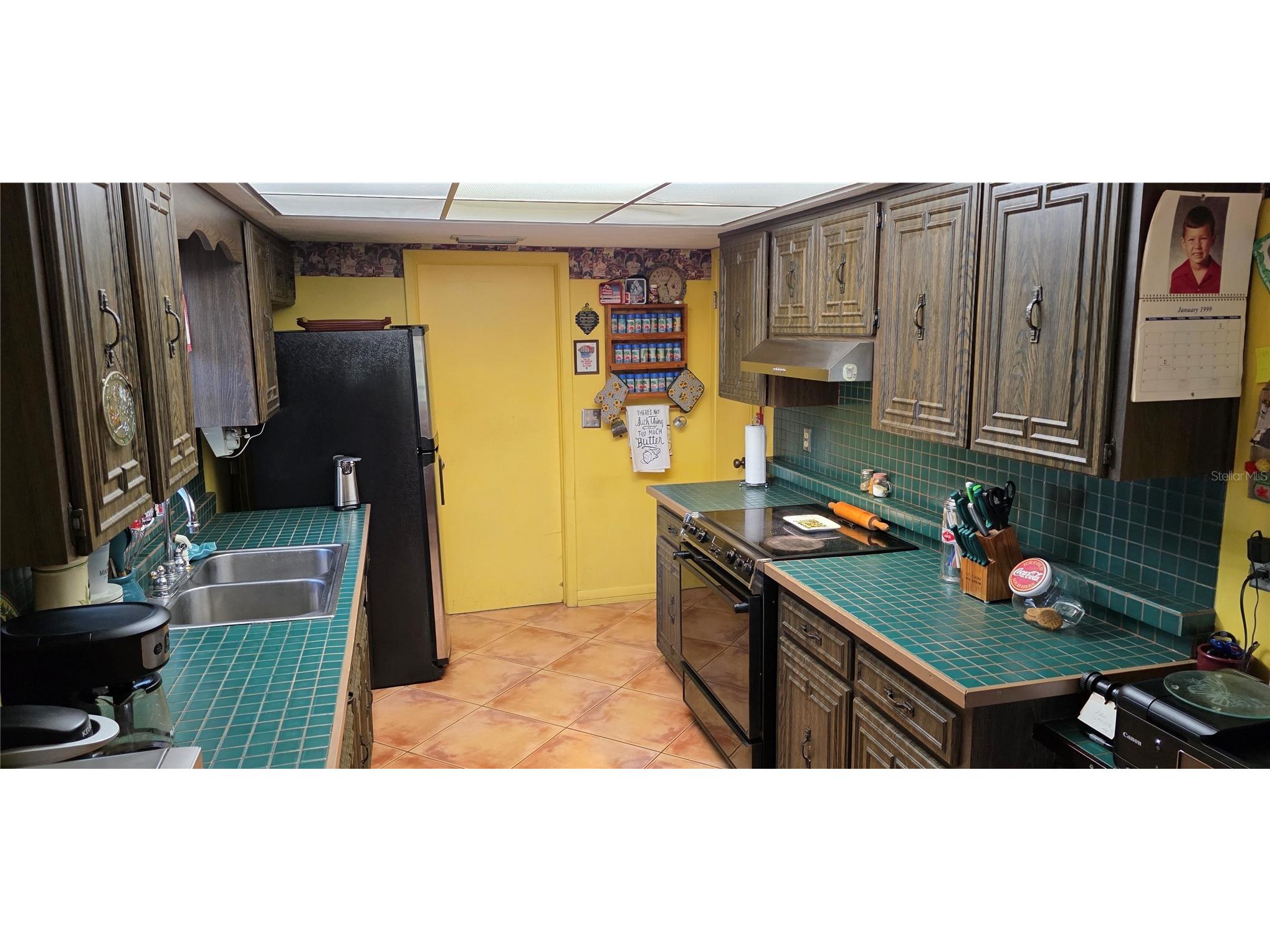 9906 Gunn Highway Odessa FL 33556 - LAKE RALEIGH TB8463972 image32